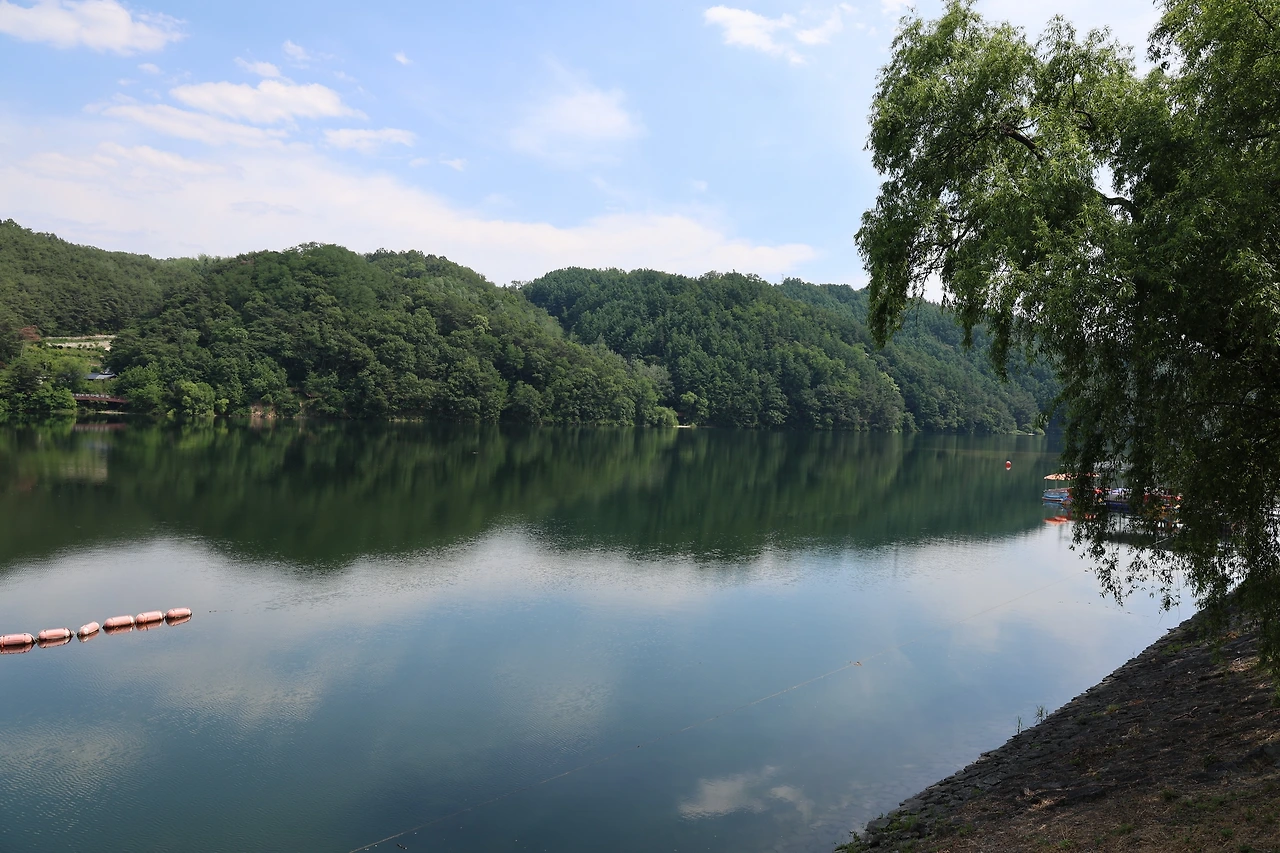 0R5A5291_новый размер.JPG