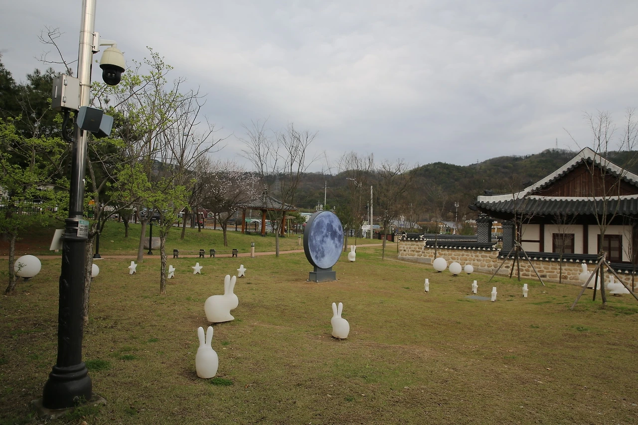 MG0A8260_новый размер.JPG