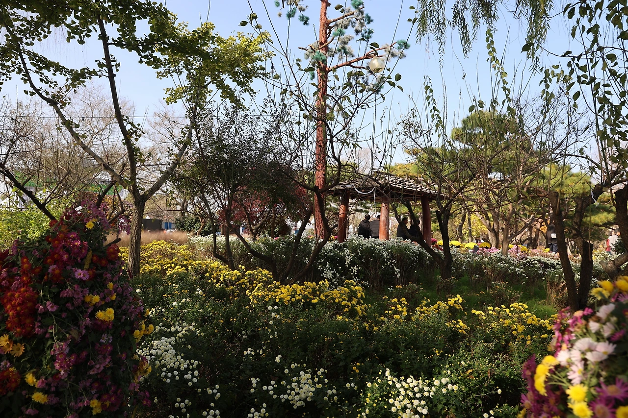 0R5A2450_новый размер.JPG