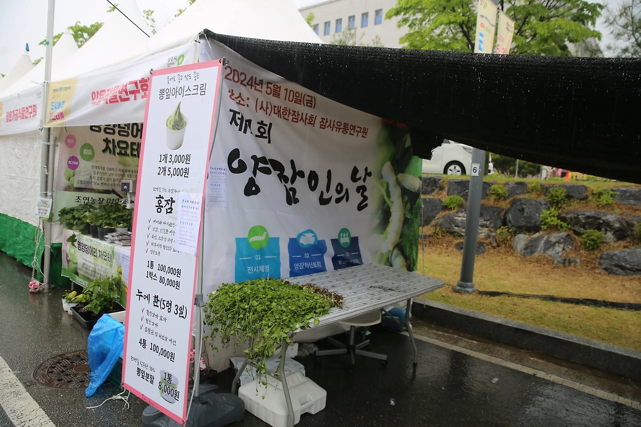 MG0A3157_новый размер.JPG