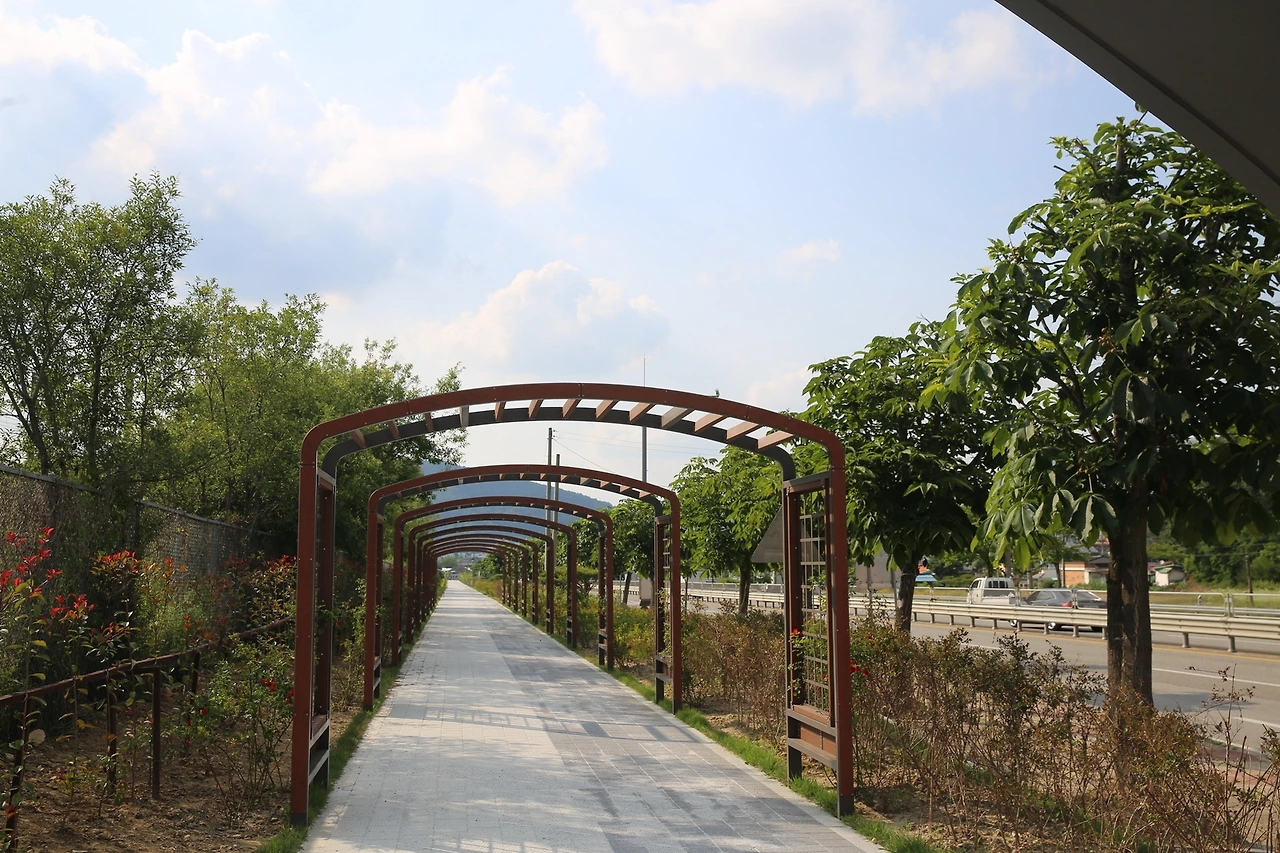 MG0A1619_новый размер.JPG