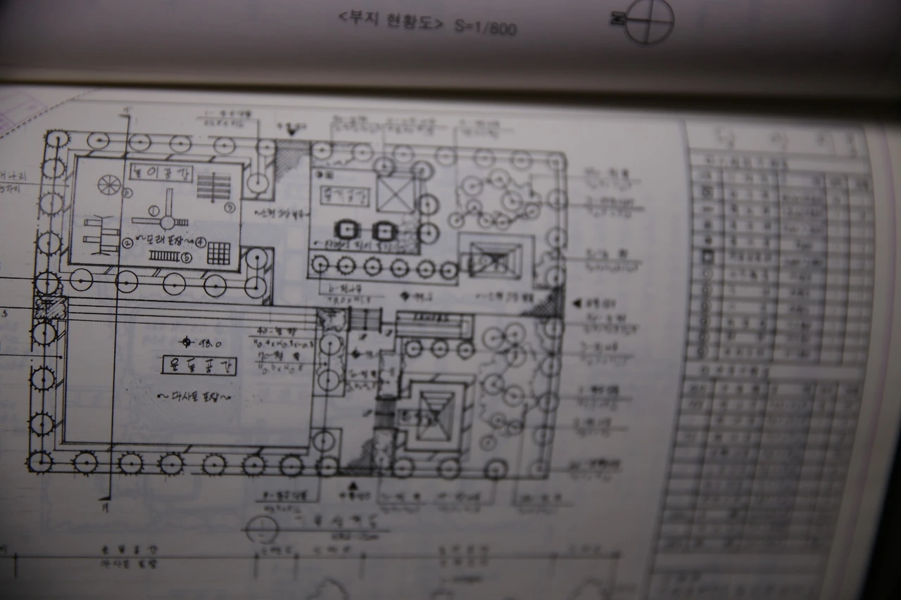 MG0A5438_новый размер.JPG