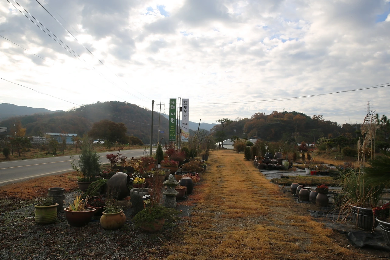 MG0A0643_новый размер.JPG