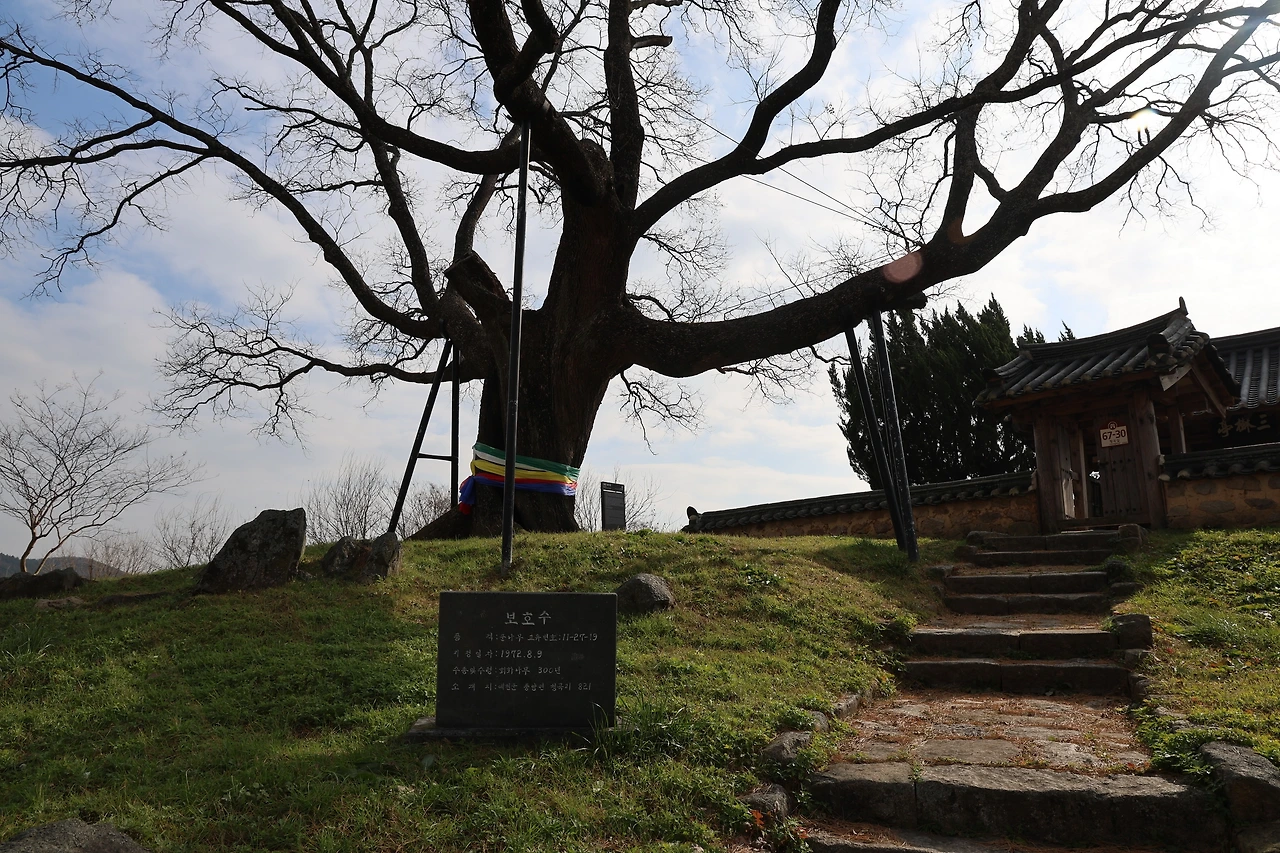 0R5A3342_новый размер.JPG