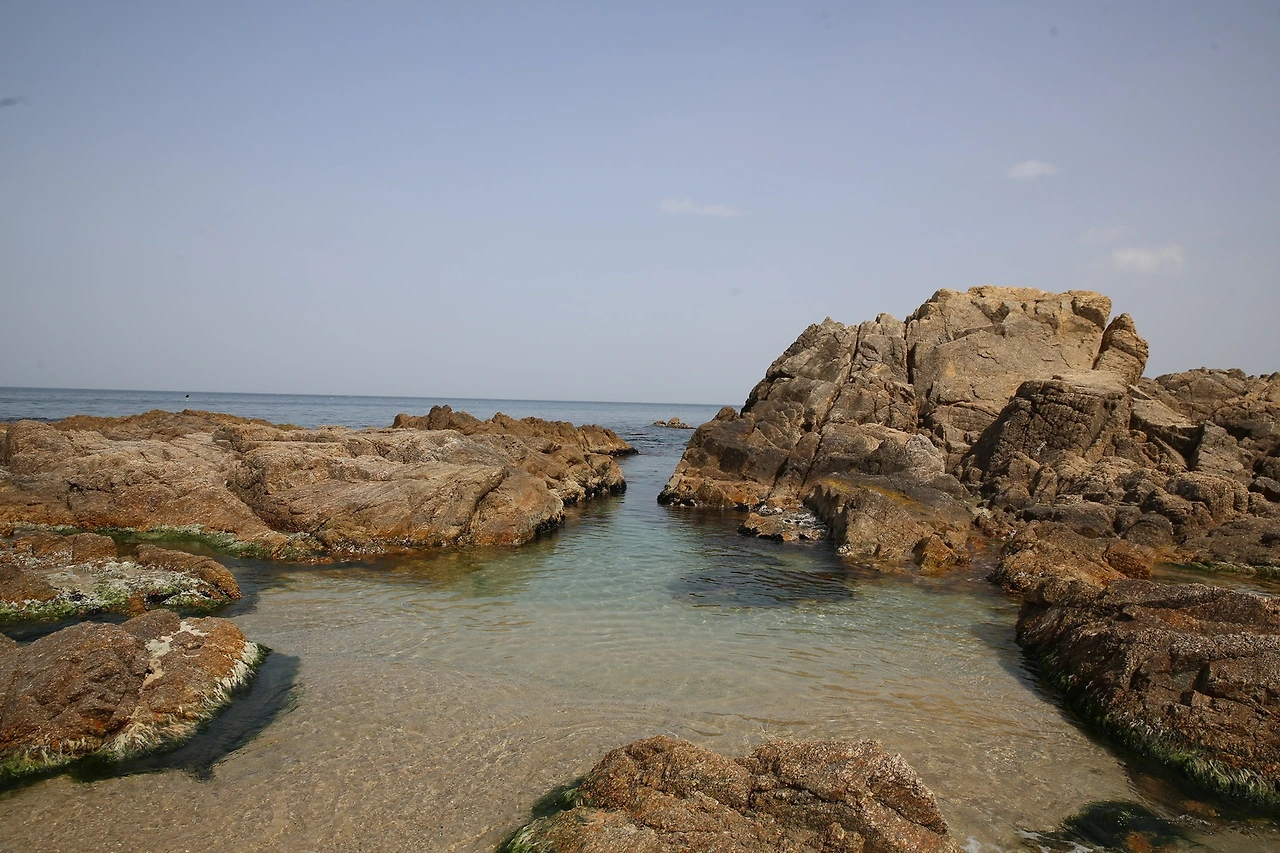 MG0A9816_новый размер.JPG