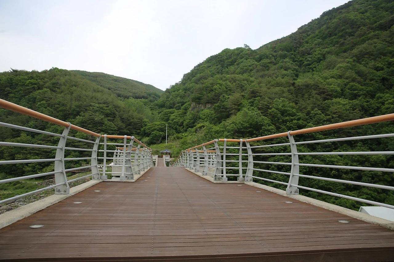 MG0A9916_новый размер.JPG