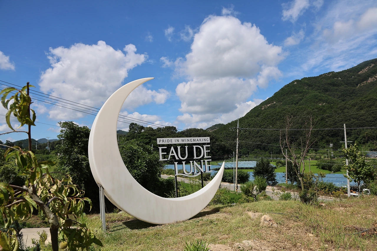 0R5A2536_новый размер.JPG