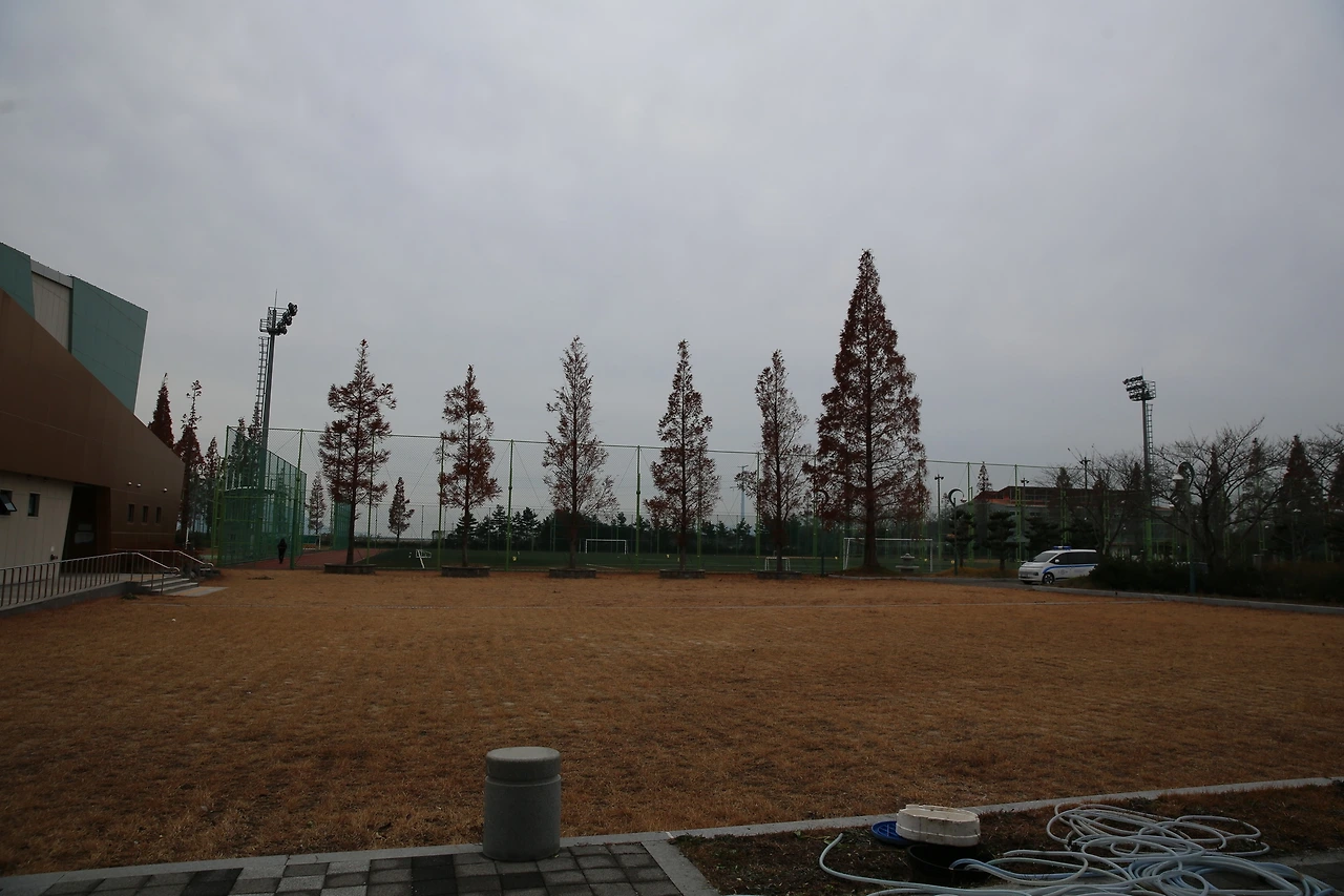 MG0A3911_новый размер.JPG