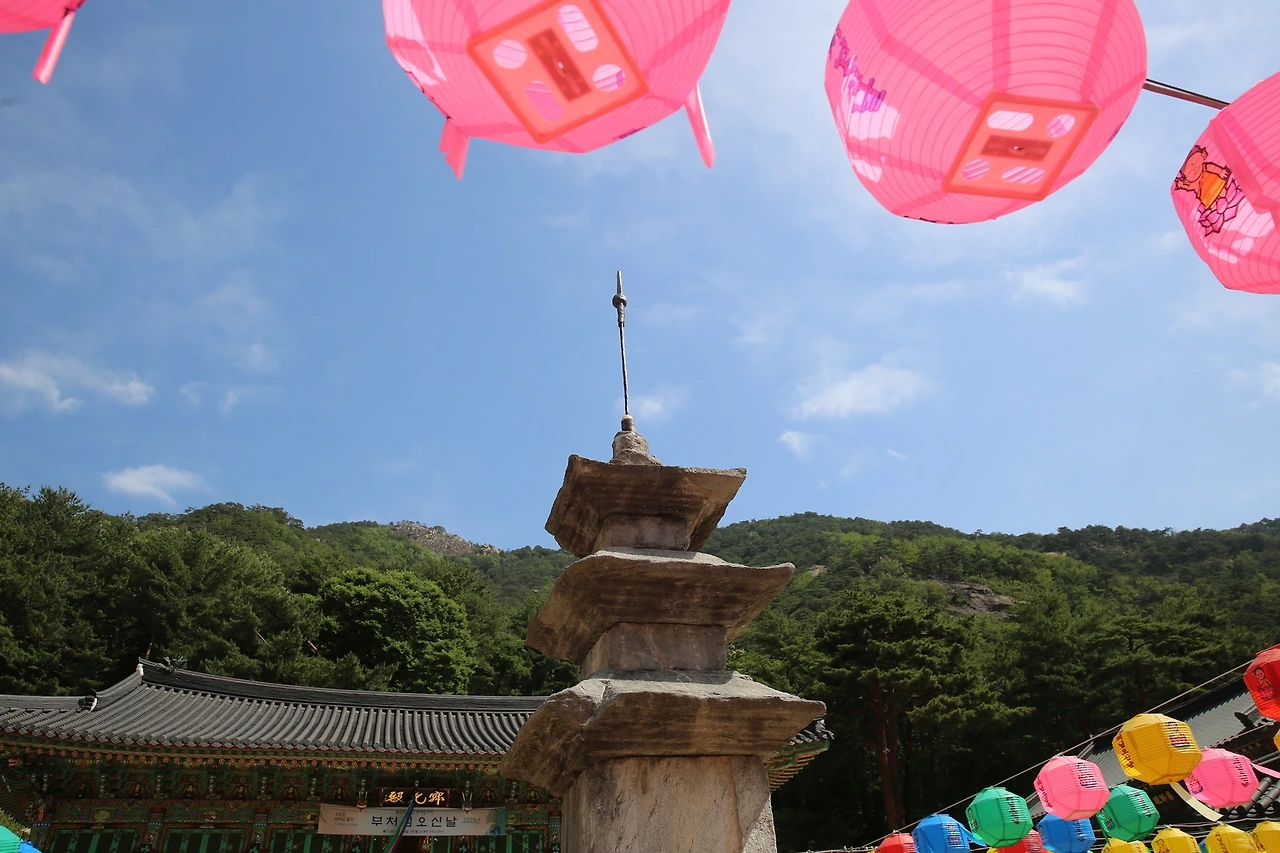 MG0A0700_новый размер.JPG