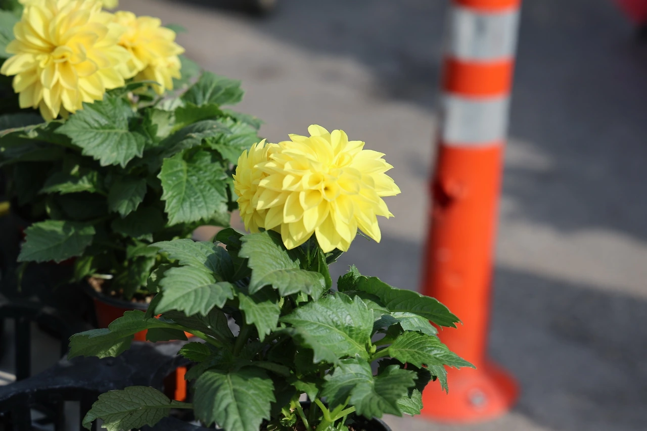 0R5A2944_новый размер.JPG