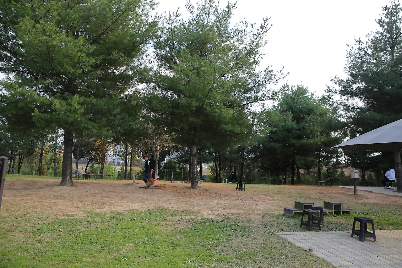 MG0A9695_новый размер.JPG