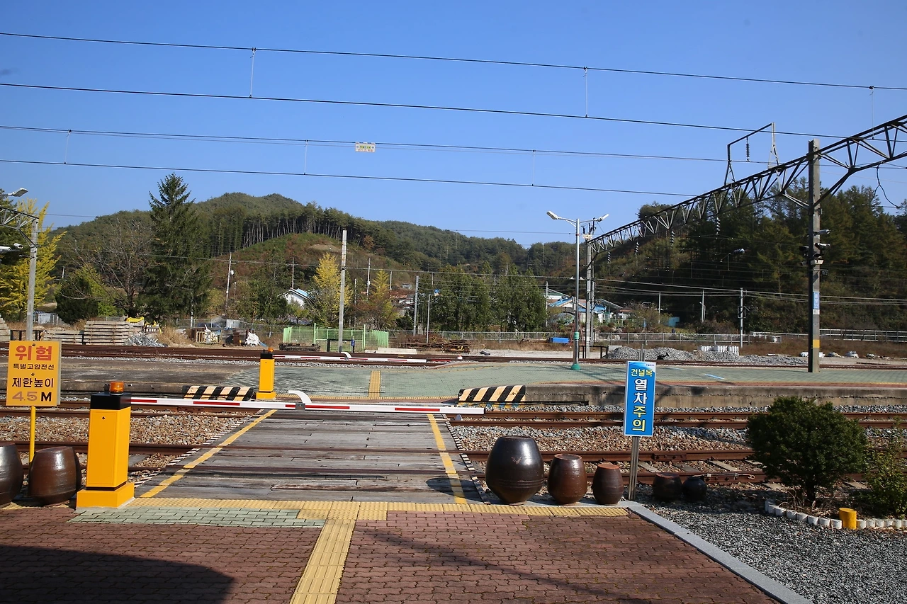 MG0A8319_новый размер.JPG