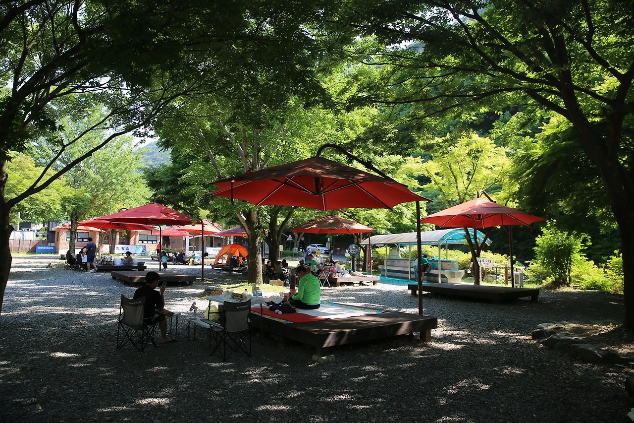 MG0A1543_новый размер.JPG