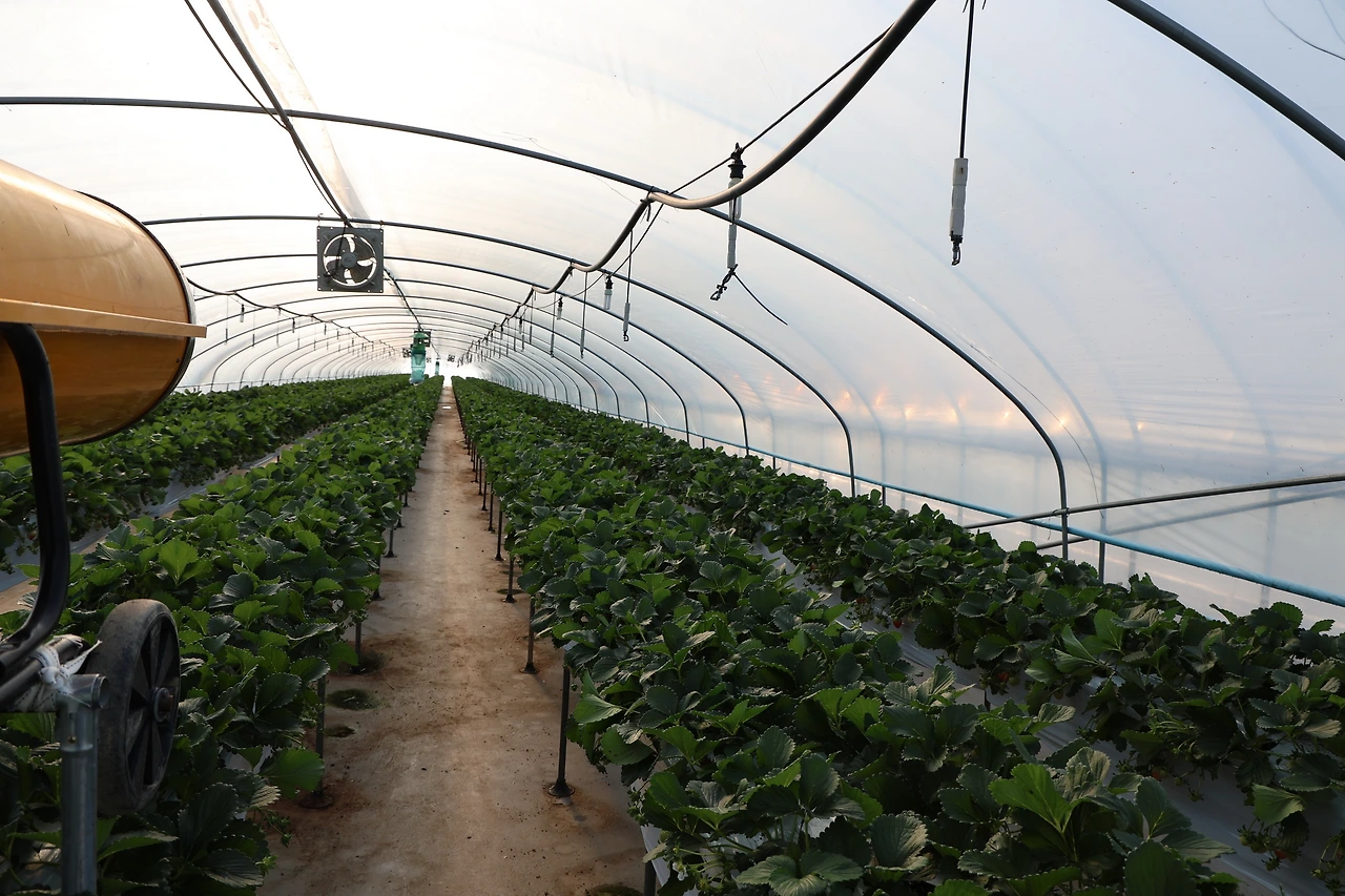 0R5A5526_новый размер.JPG