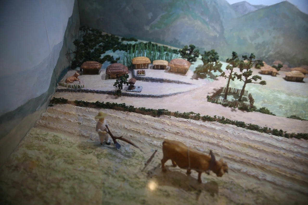 MG0A8337_новый размер.JPG