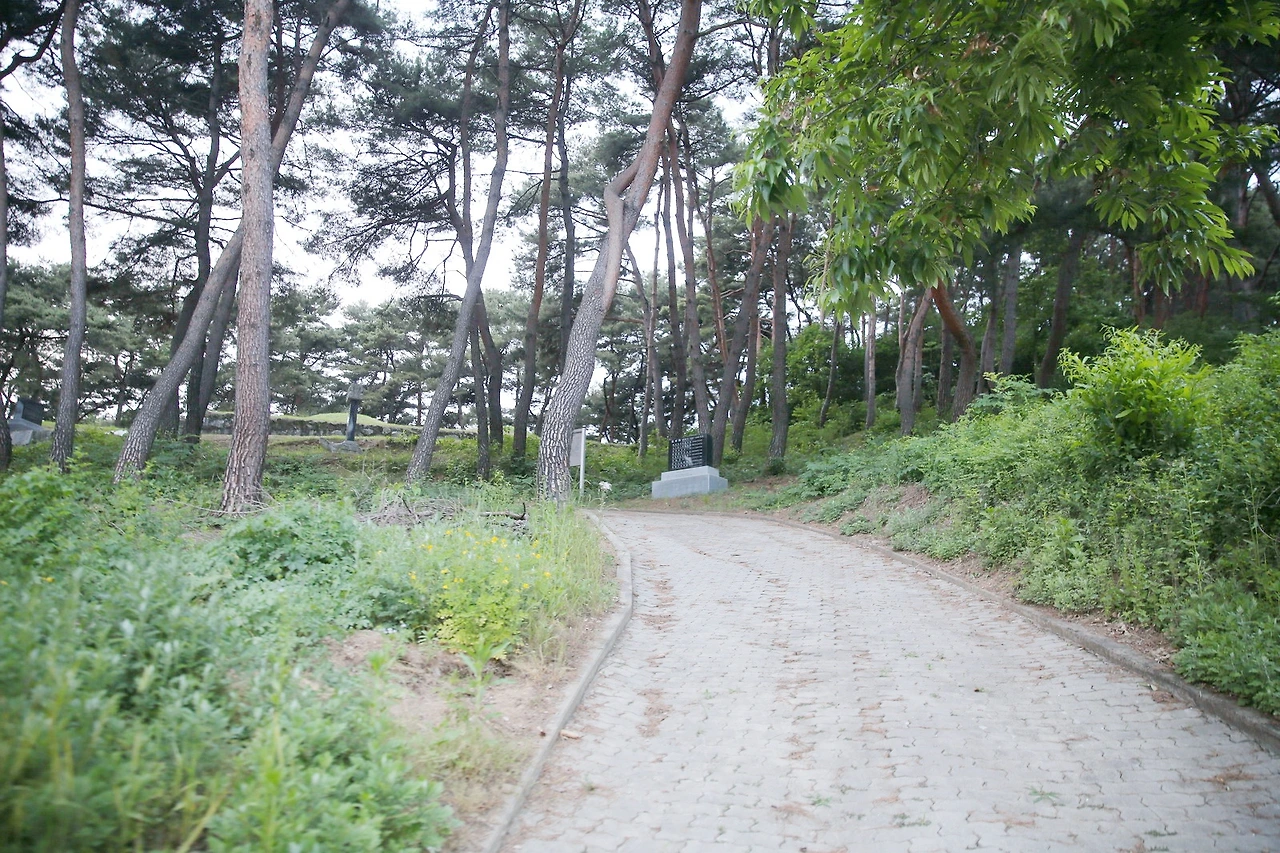 MG0A1210_новый размер_exposure.JPG