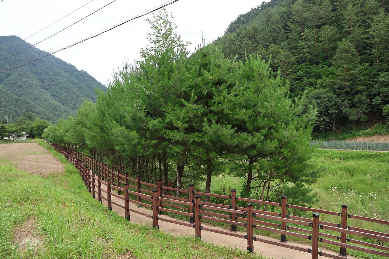 0R5A8669_новый размер.JPG