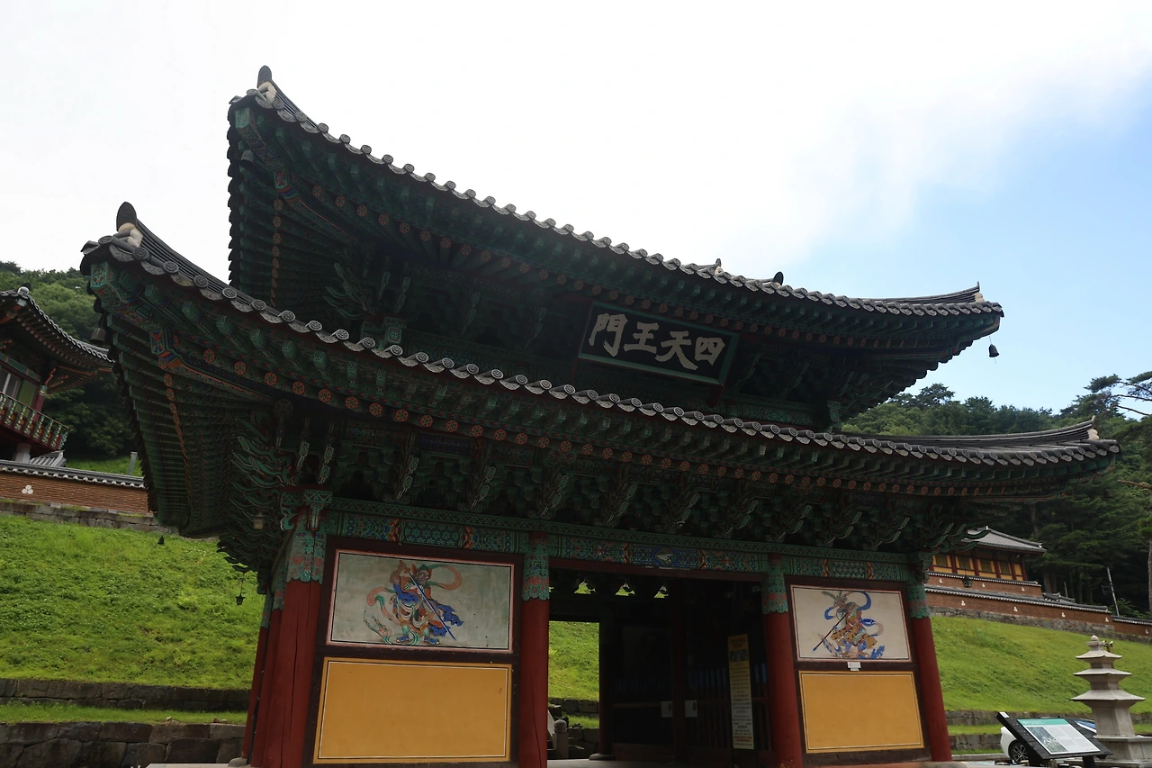 0R5A7601_новый размер.JPG