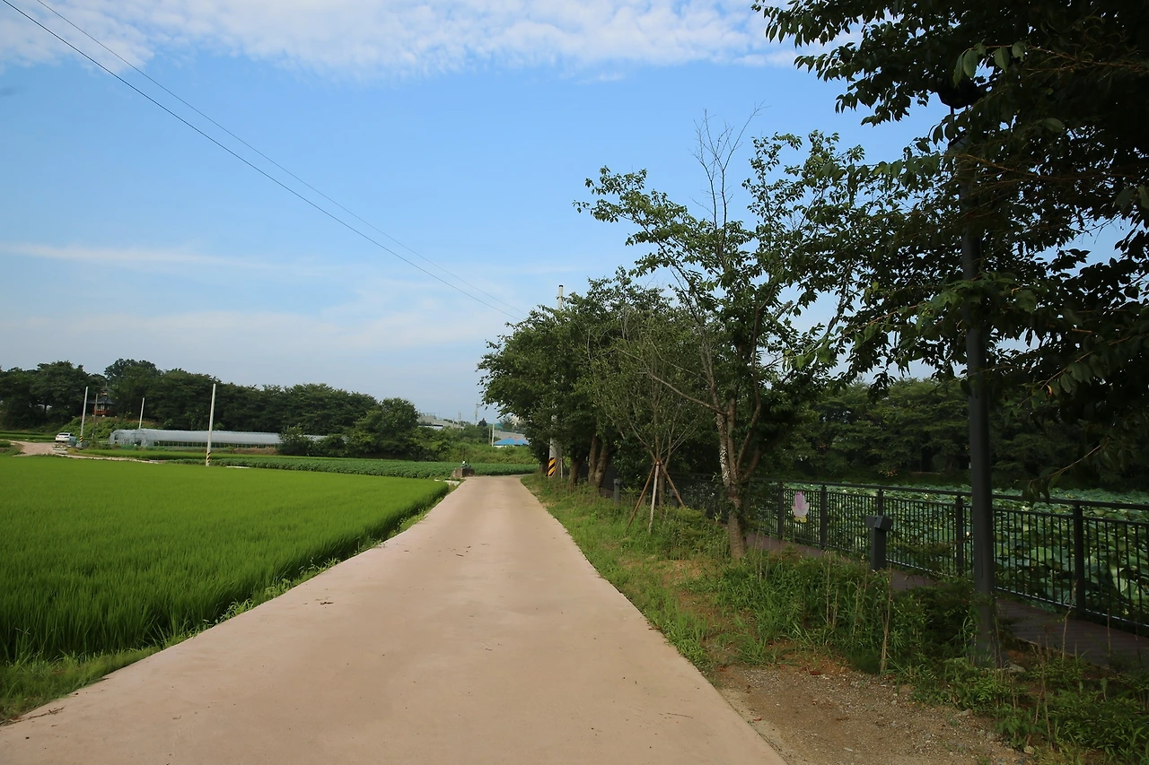 MG0A7144_новый размер.JPG