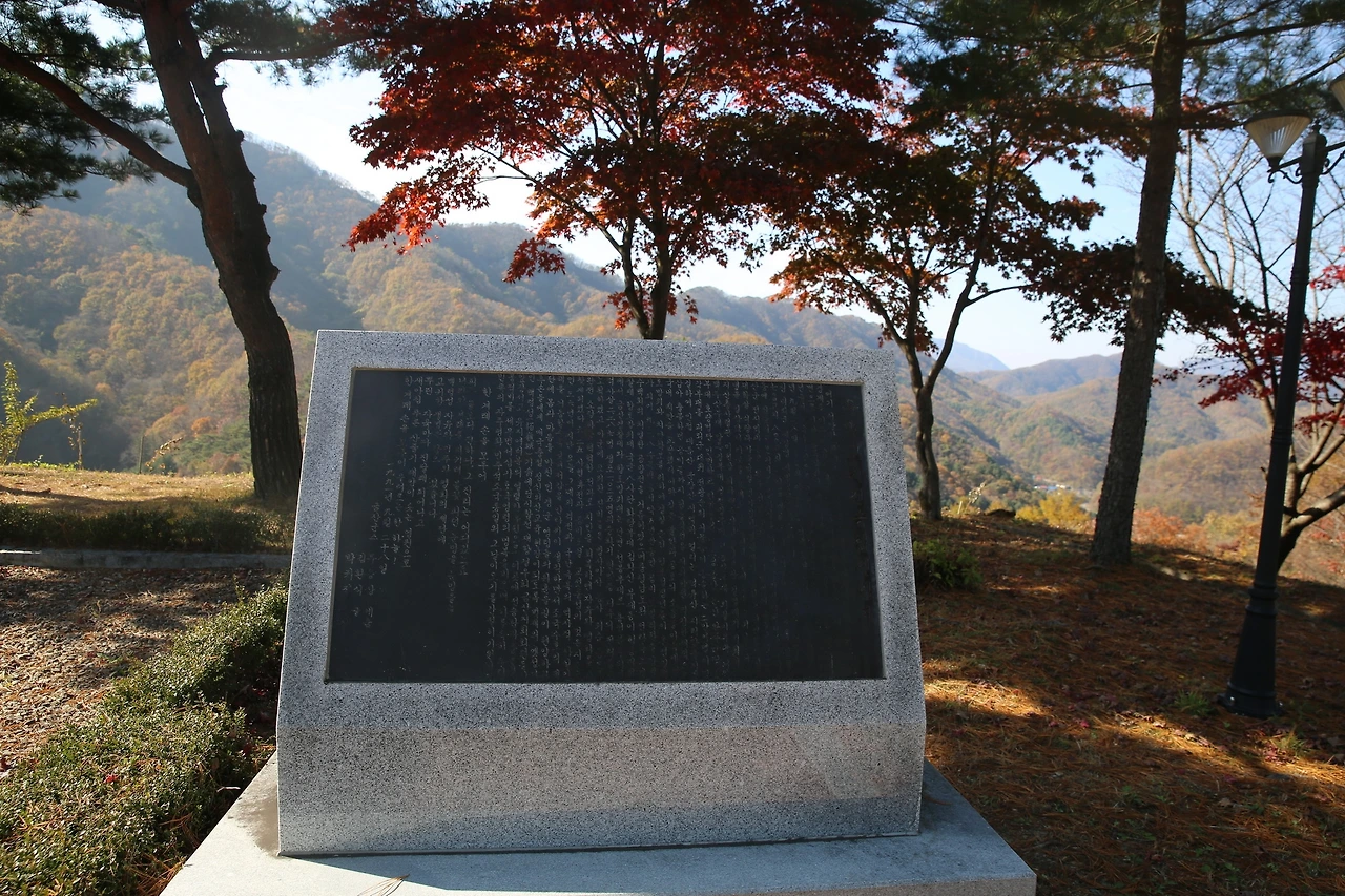 MG0A9983_новый размер.JPG