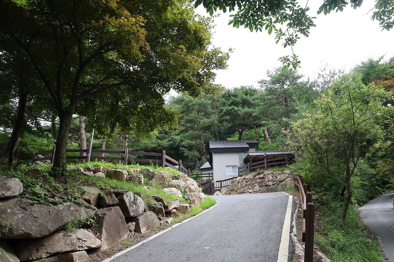 0R5A7418_новый размер.JPG