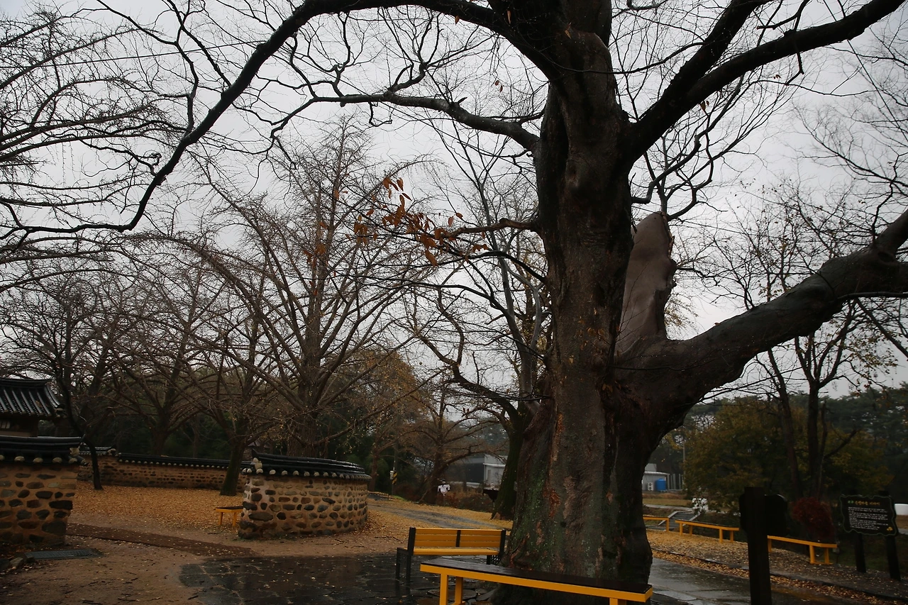 MG0A0848_новый размер.JPG