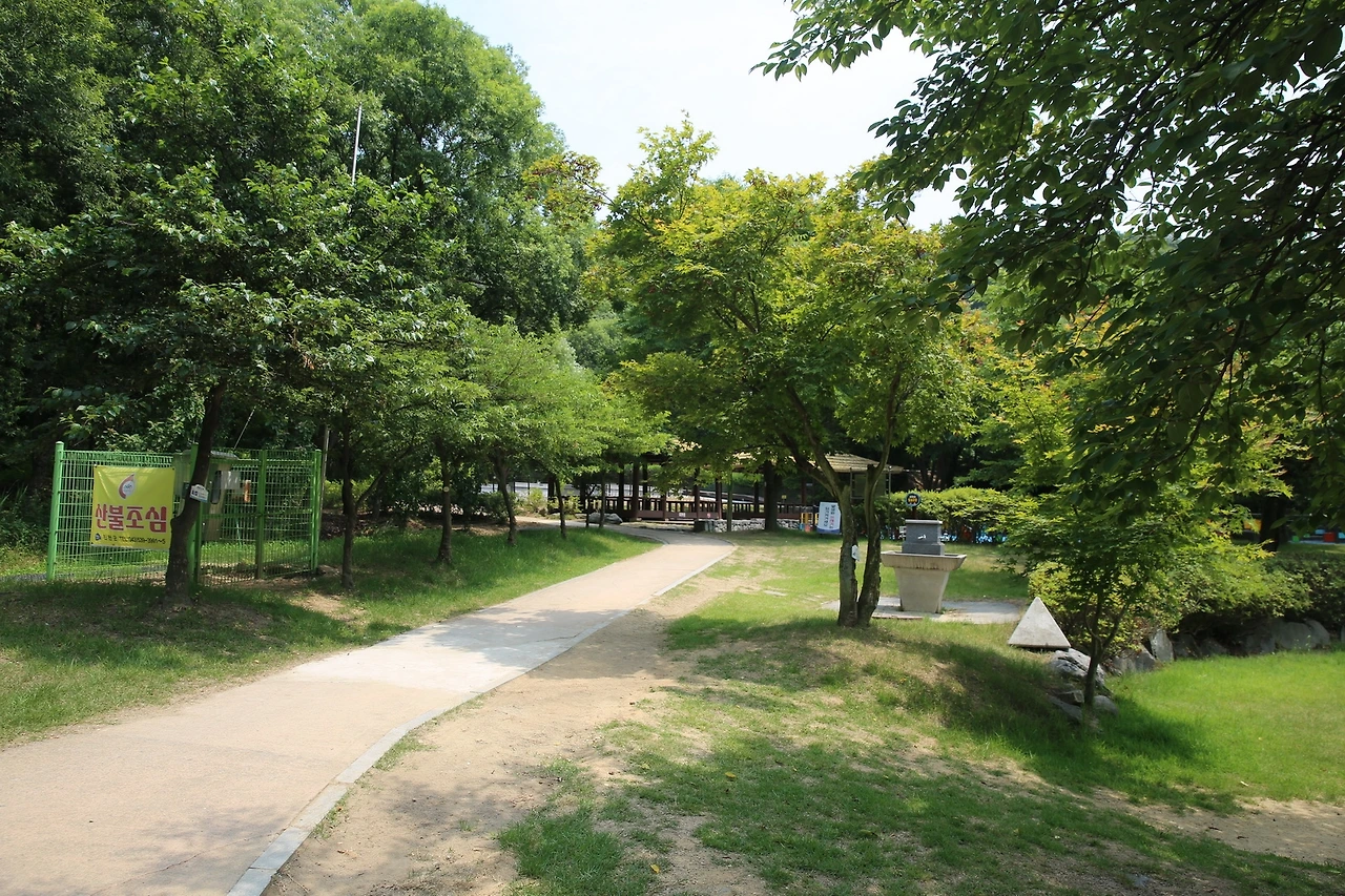 MG0A2415_новый размер.JPG