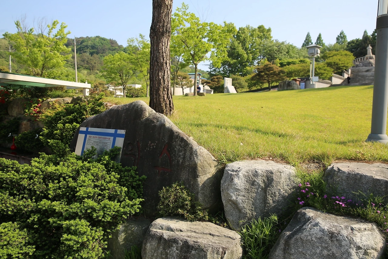 MG0A2382_новый размер.JPG