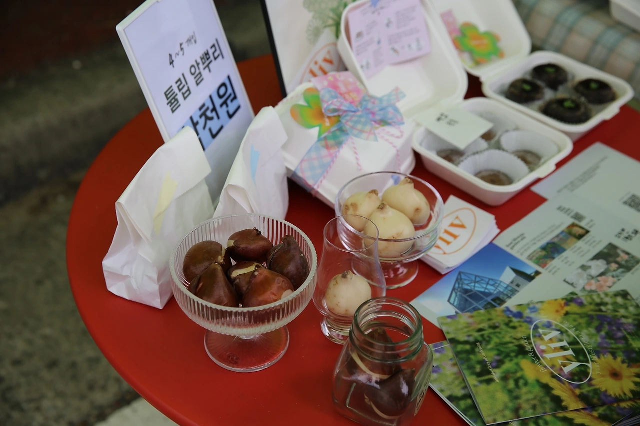 MG0A5554_новый размер.JPG