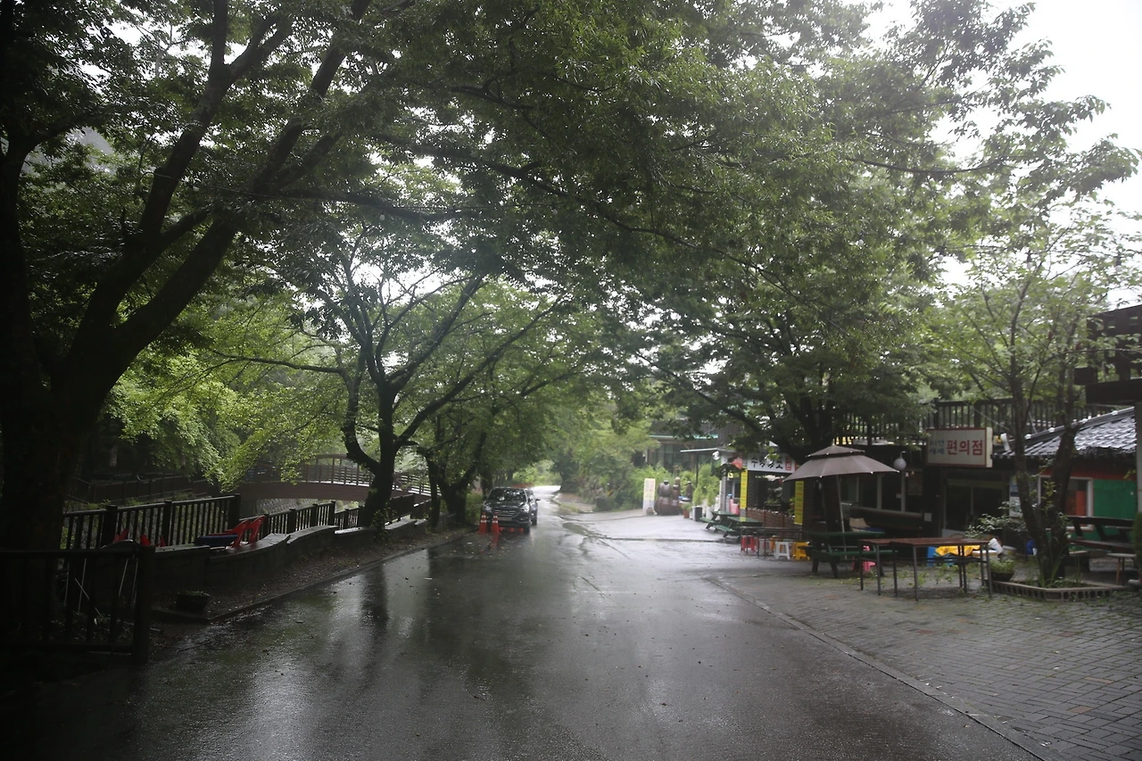 MG0A3340_новый размер.JPG