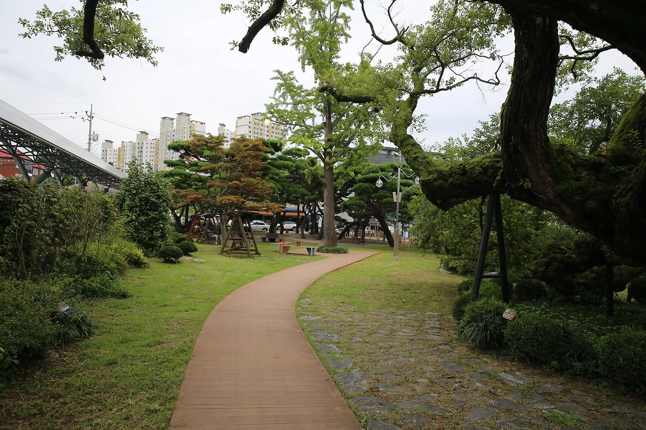 MG0A3310_новый размер.JPG