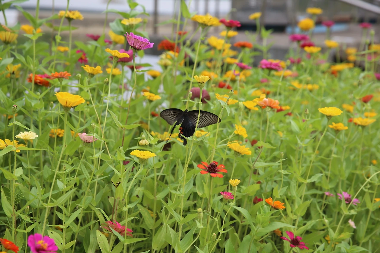 MG0A3501_новый размер.JPG