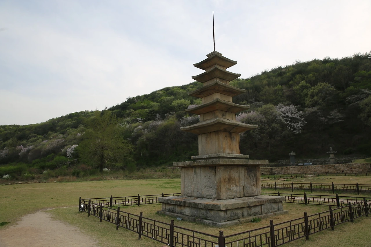 MG0A9494_новый размер.JPG