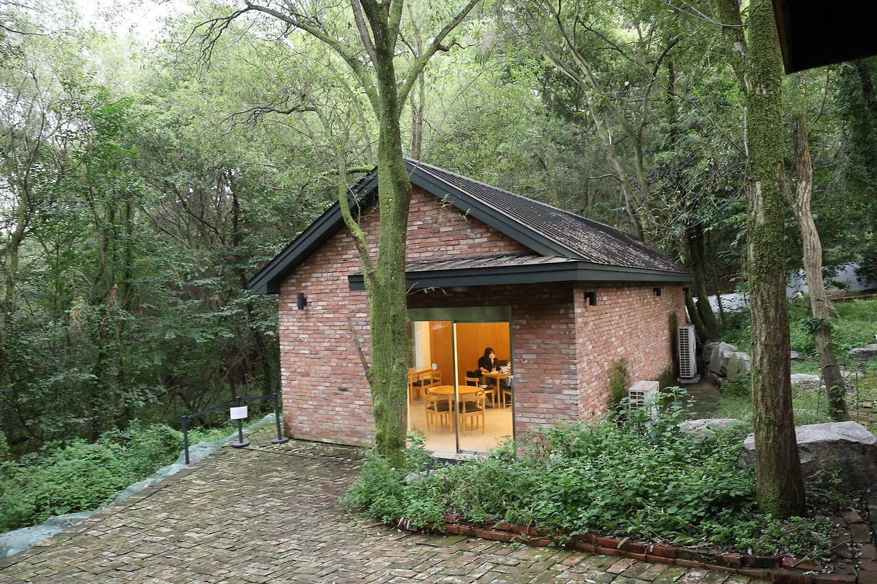 0R5A6171_новый размер.JPG