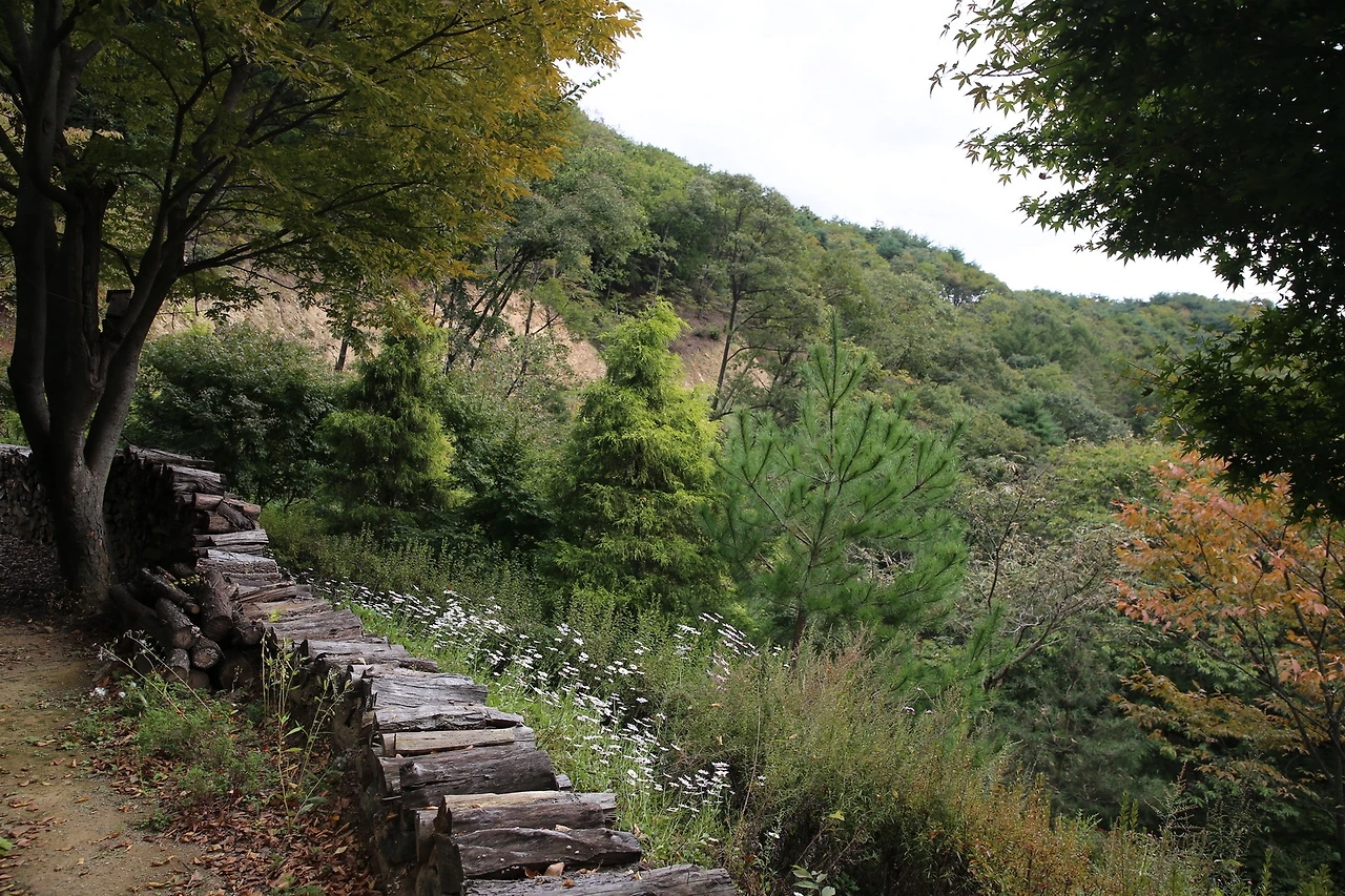 MG0A5596_новый размер.JPG