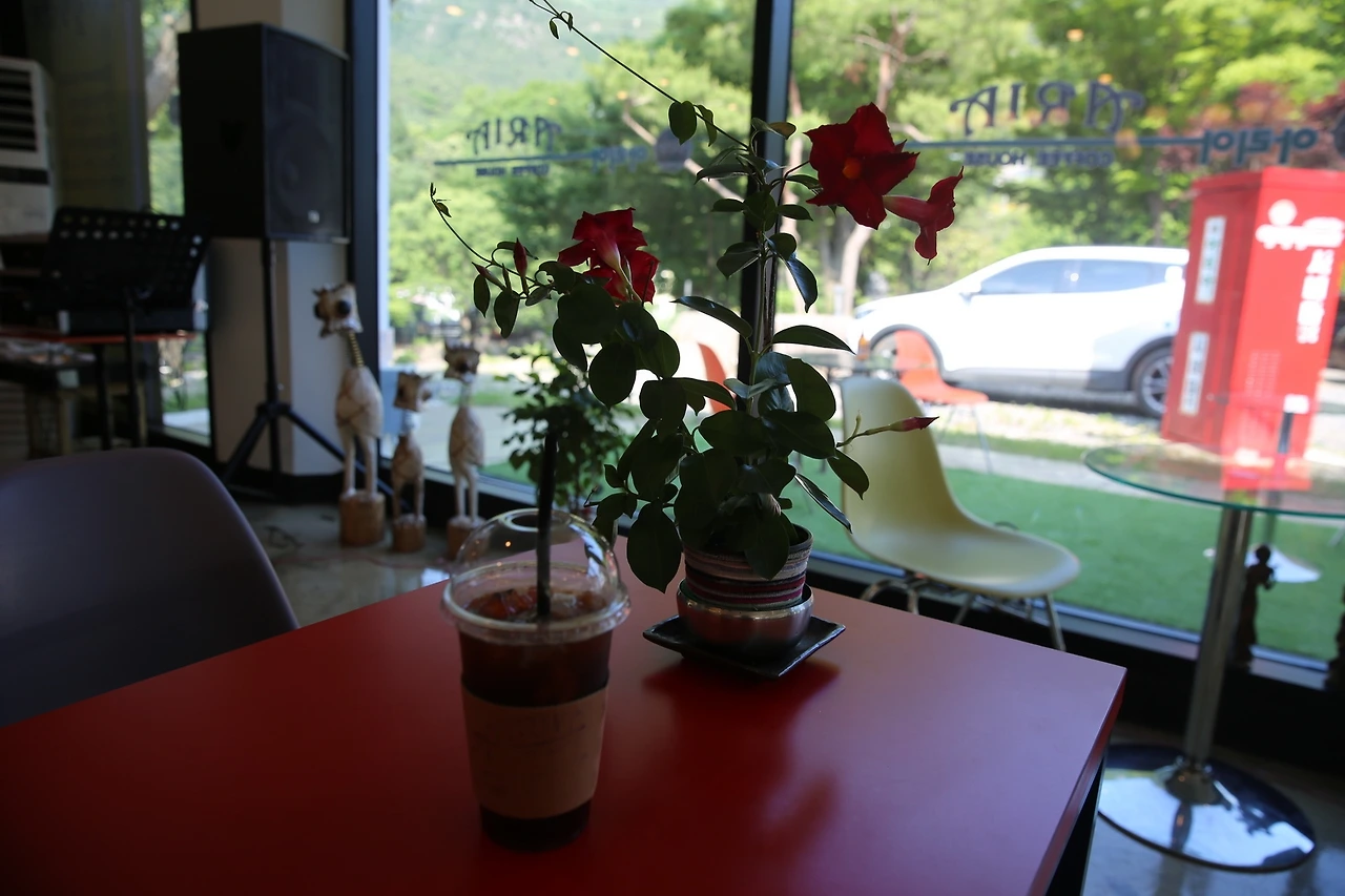 MG0A1600_новый размер.JPG