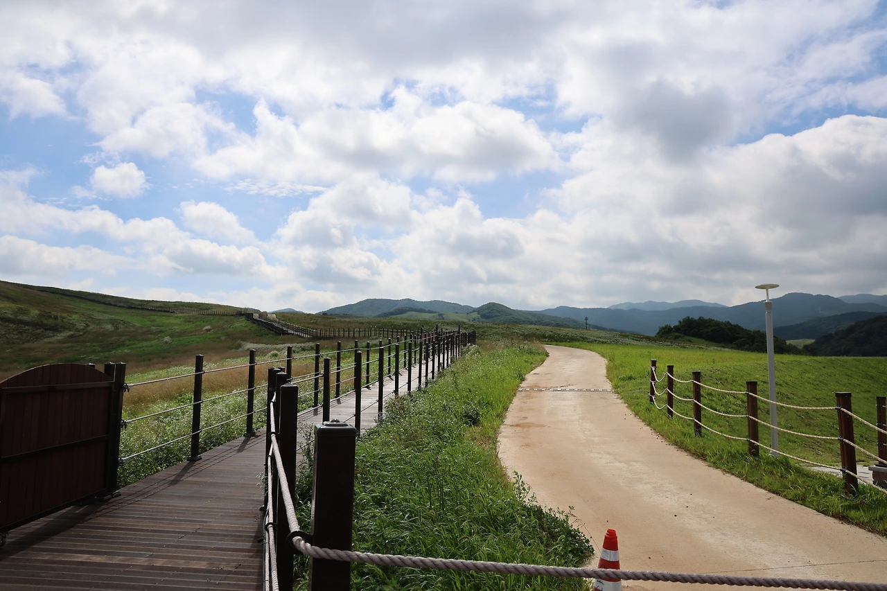 0R5A7205_новый размер.JPG