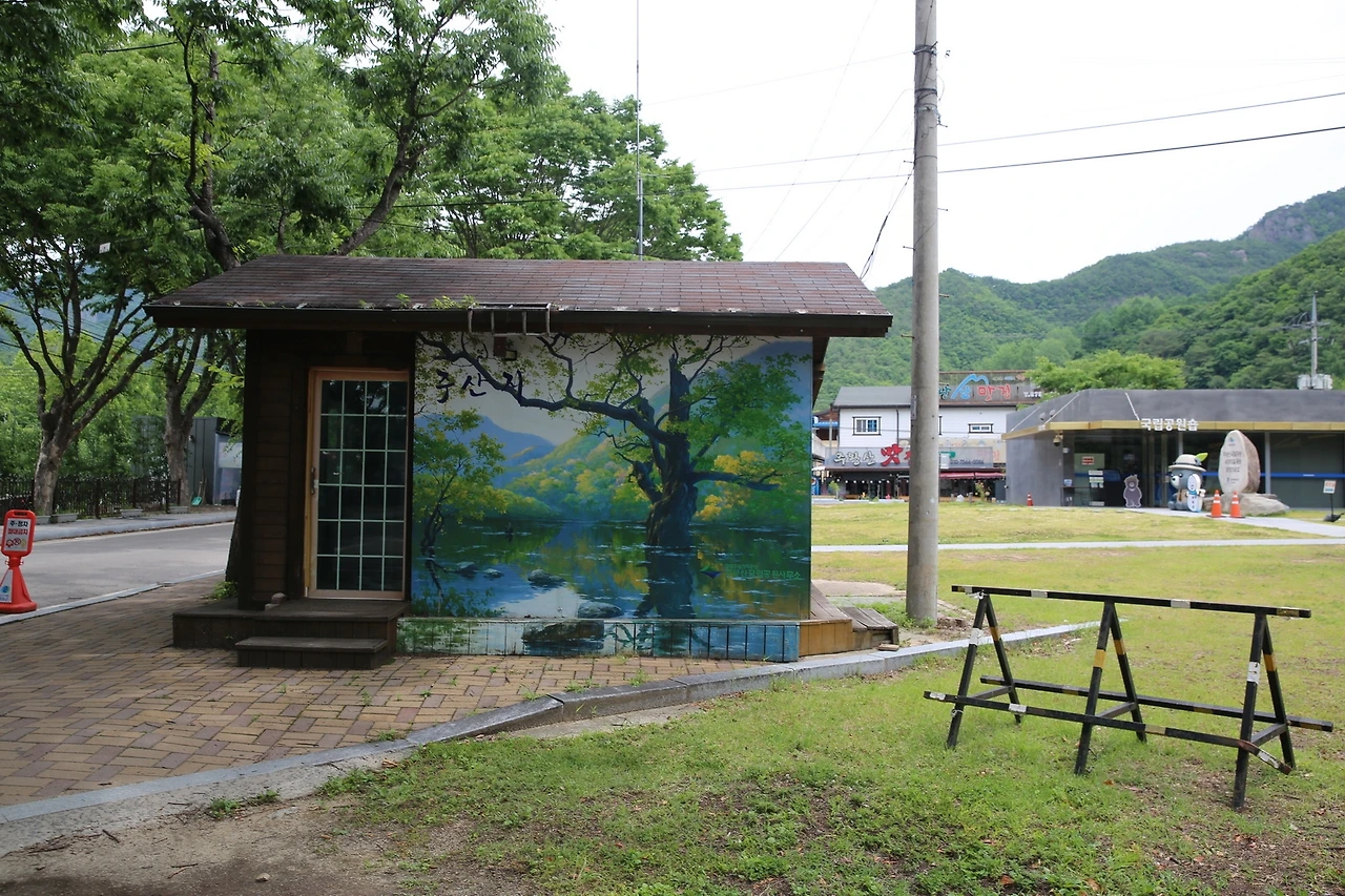 MG0A8567_новый размер.JPG