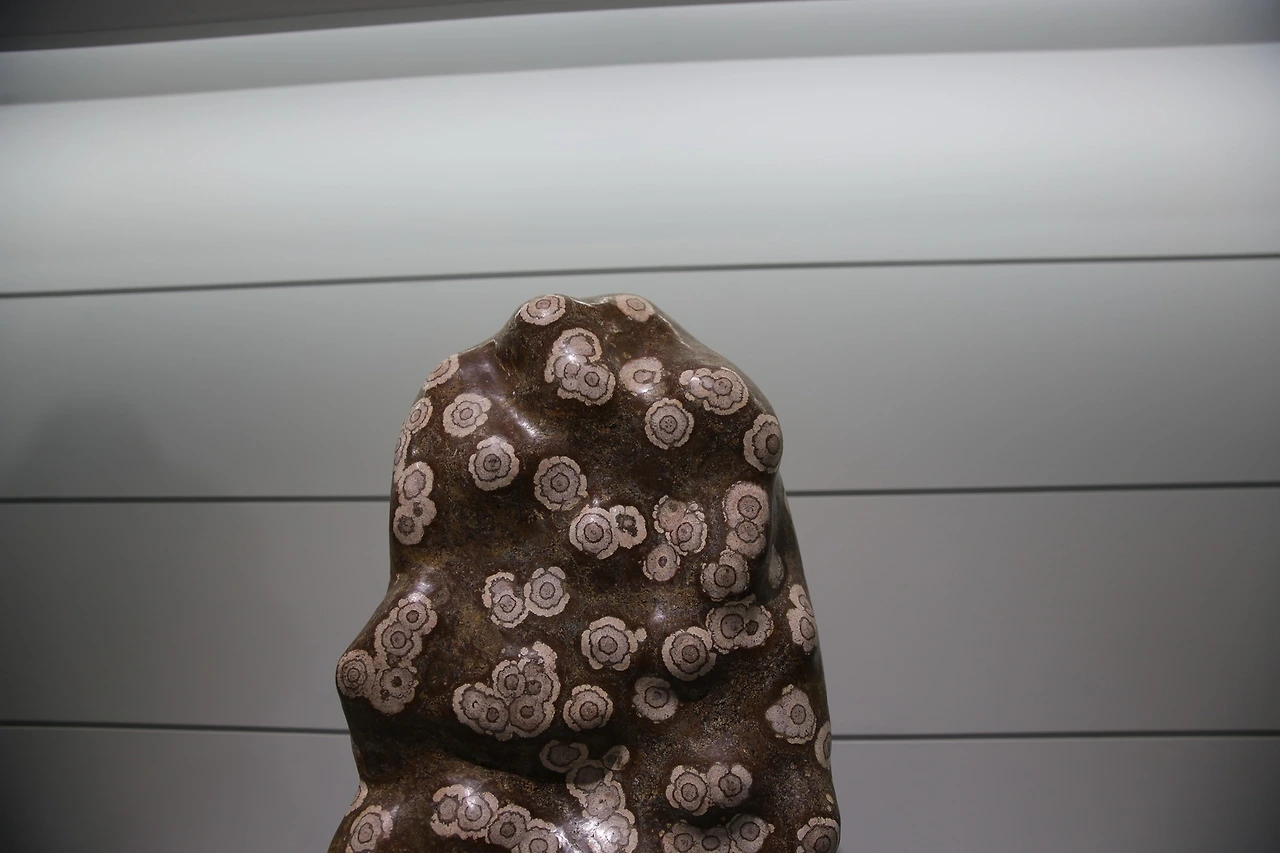 MG0A4381_новый размер.JPG