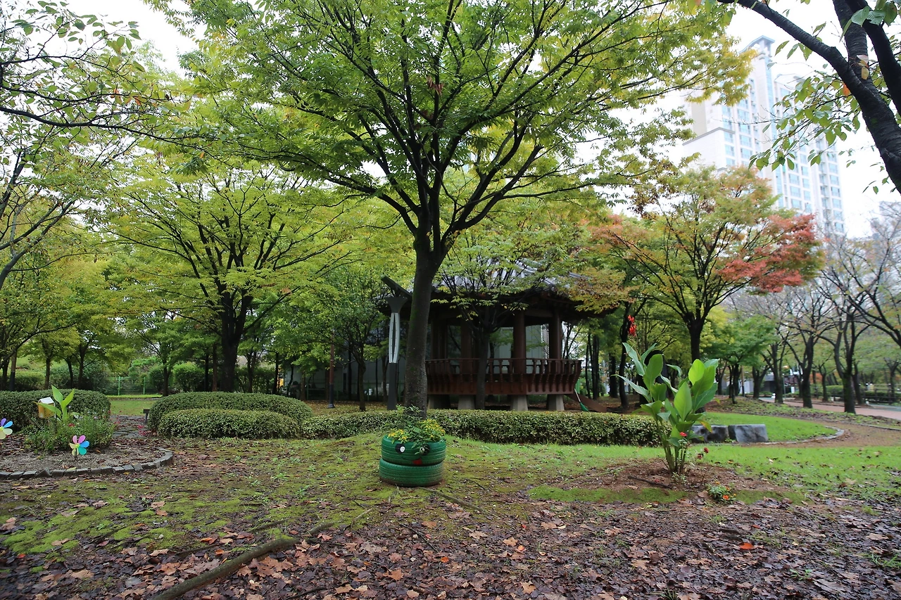 MG0A5213_новый размер.JPG