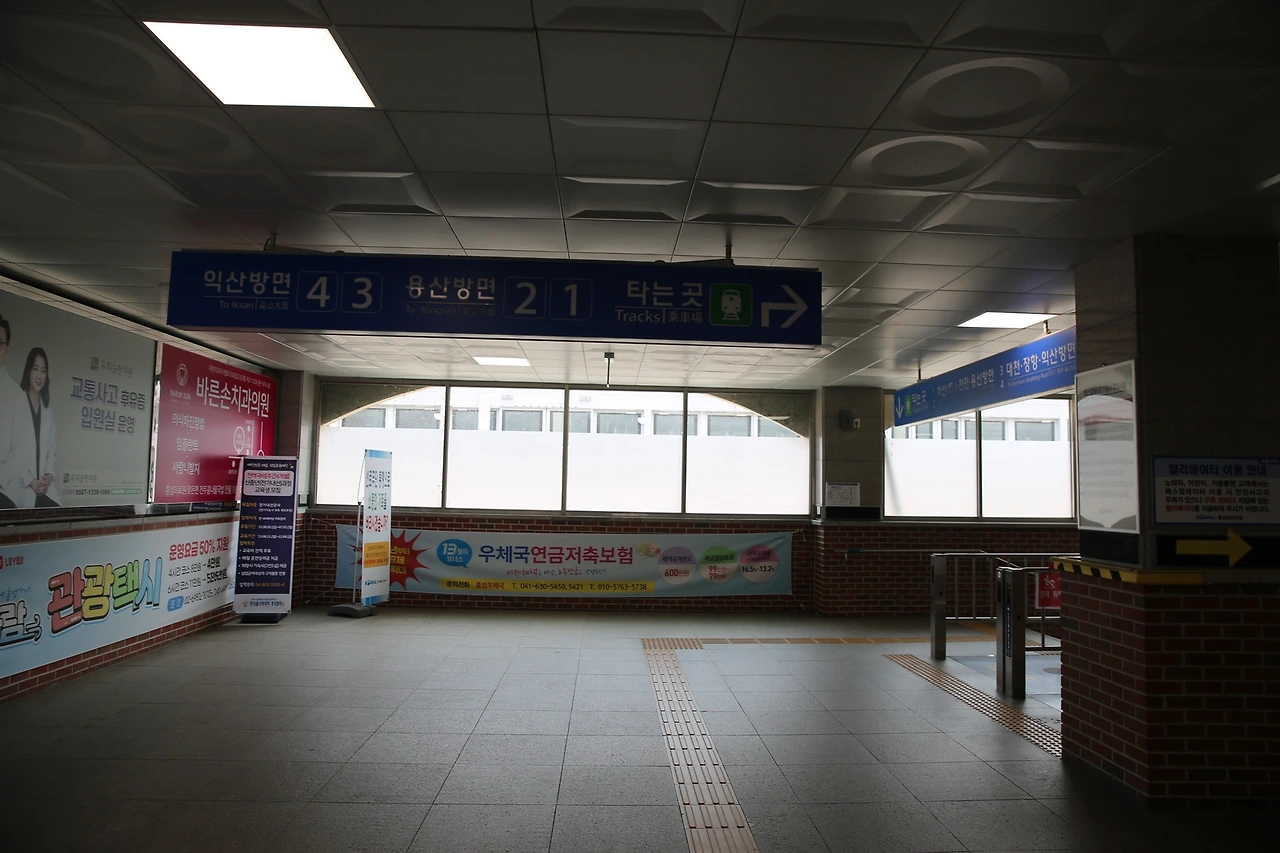 MG0A8988_новый размер.JPG