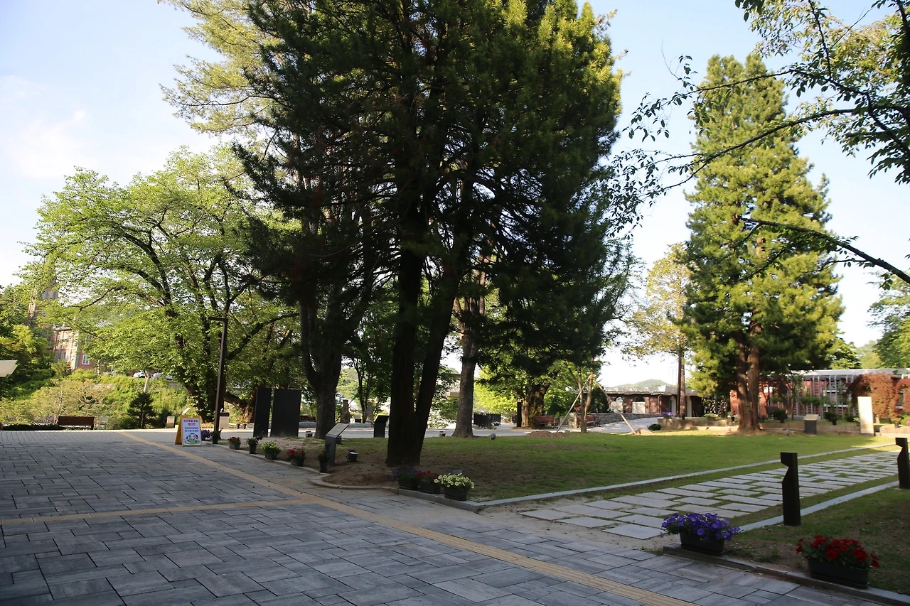 MG0A3977_новый размер.JPG