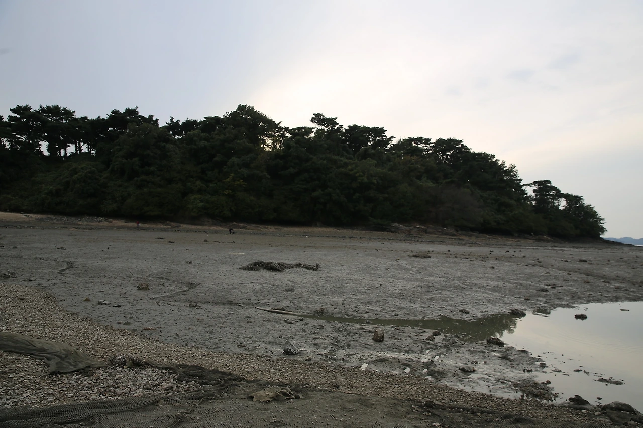 MG0A5385_новый размер.JPG