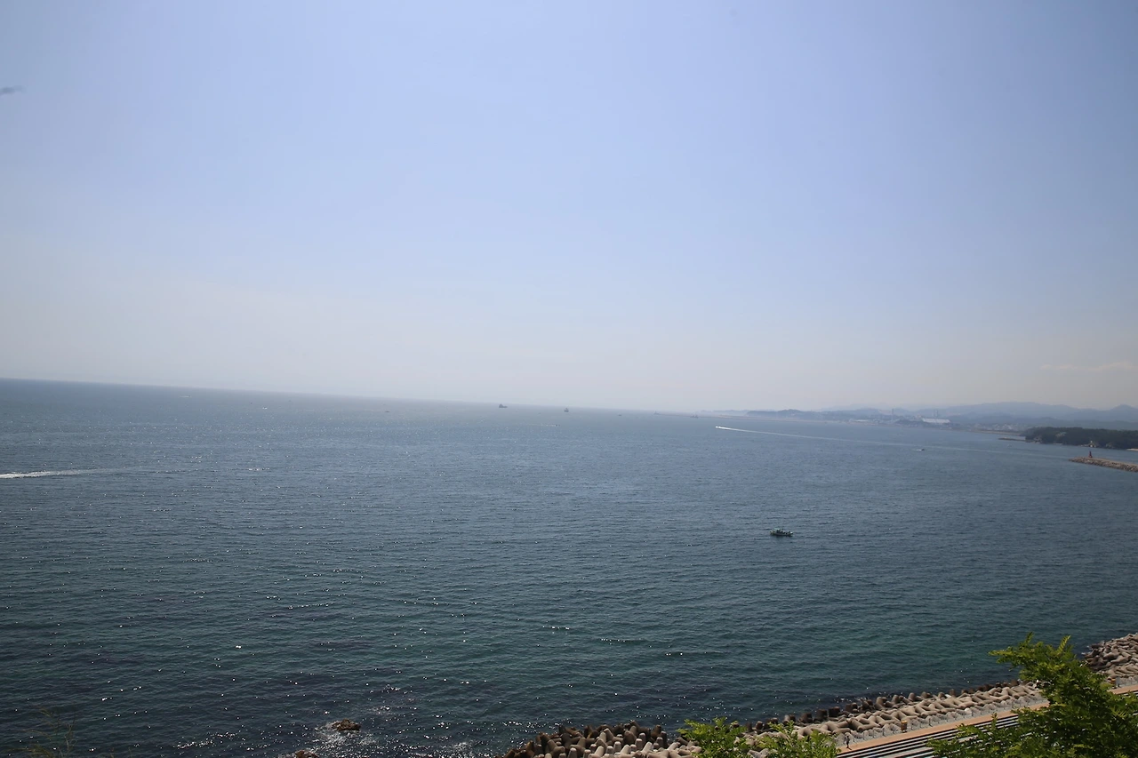 MG0A0137_новый размер.JPG