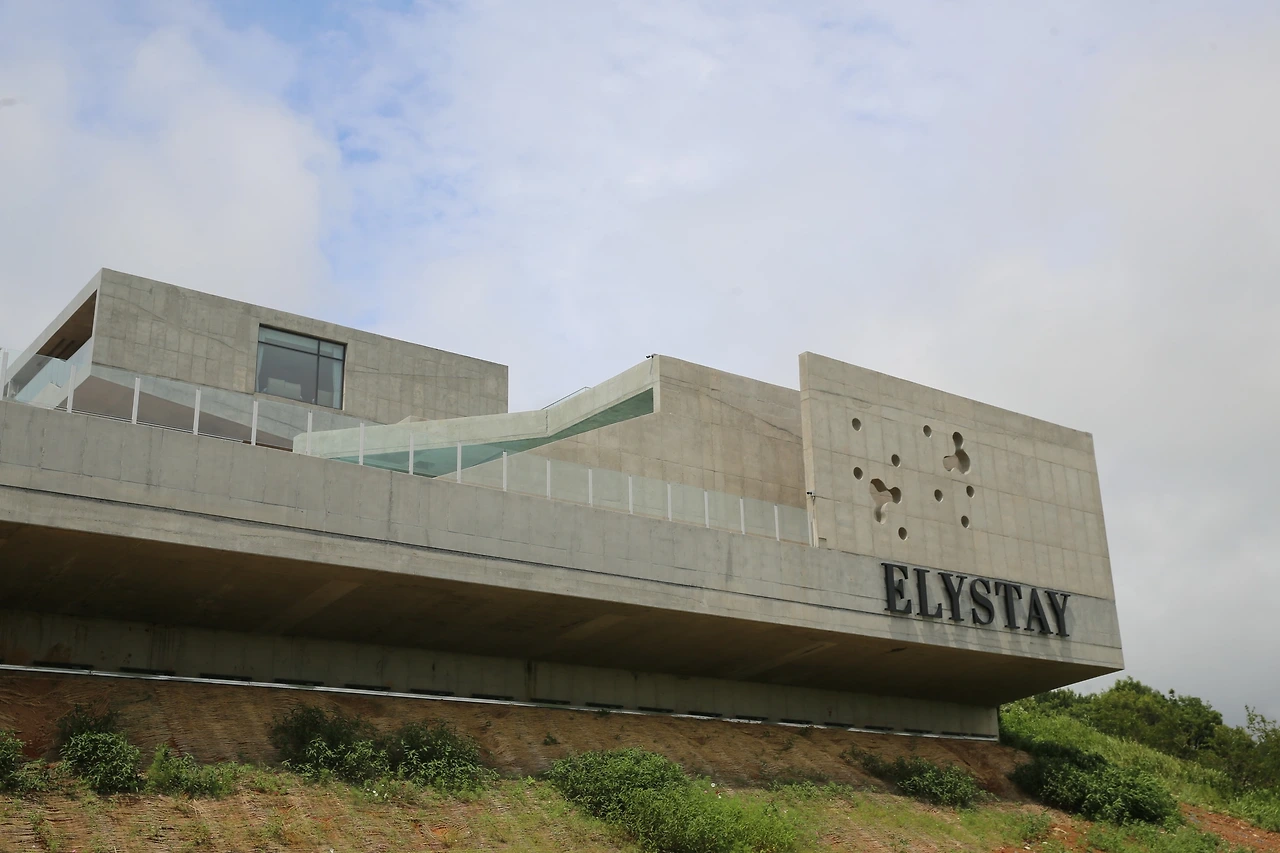 MG0A3606_новый размер.JPG