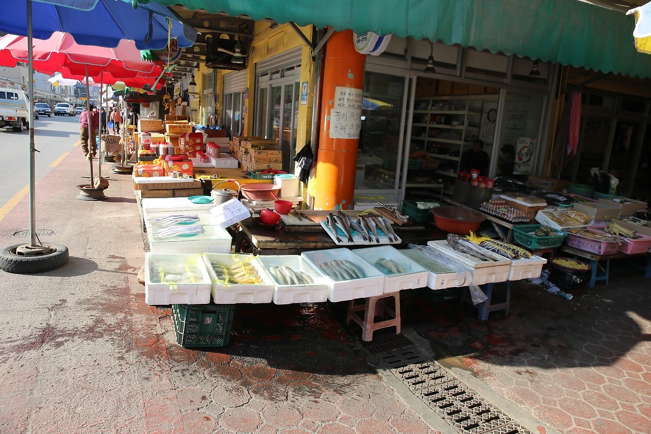 MG0A4528_новый размер.JPG