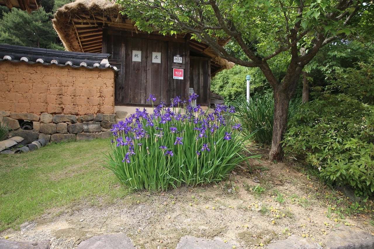 MG0A9640_новый размер.JPG