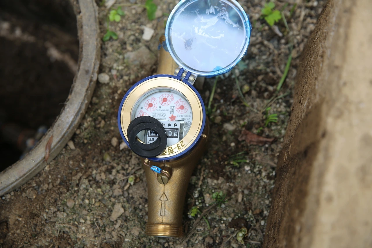 MG0A1663_новый размер.JPG