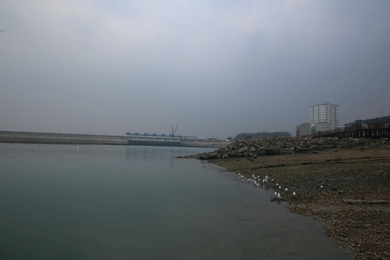 MG0A6847_новый размер.JPG