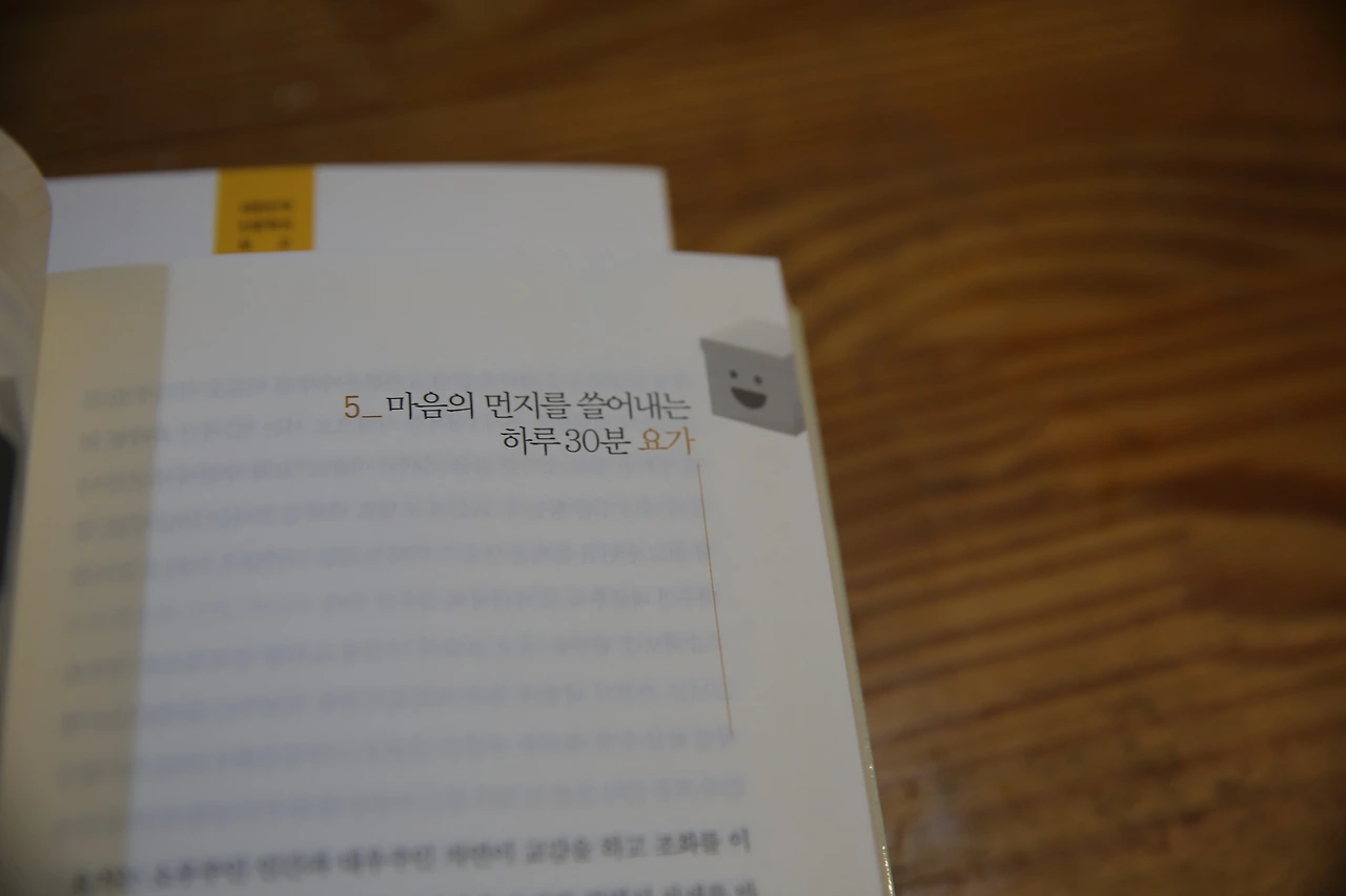 MG0A0424_новый размер.JPG